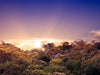 Palenque, Mexico