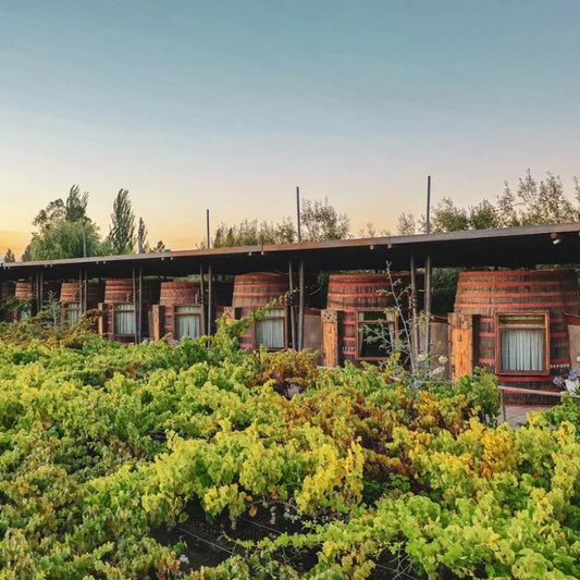 Santa Cruz / Colchagua Valley, Chile — South America Overland Guide