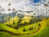 Salento, Colombia — South America Overland Guide