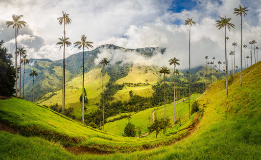 Salento, Colombia — South America Overland Guide