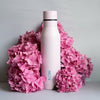 Insulated Travel Water Bottle