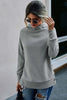 Turtle Neck Solid Loose Sweater