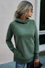 Turtle Neck Solid Loose Sweater